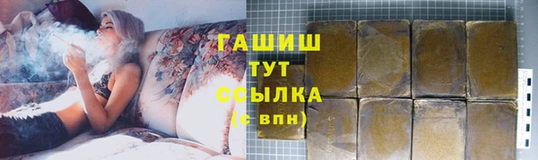 сатива Горняк