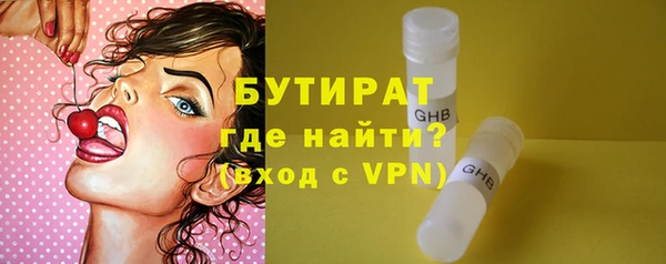 сатива Горняк