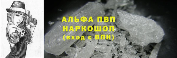 сатива Горняк