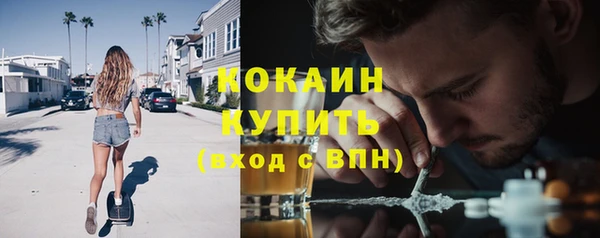 сатива Горняк