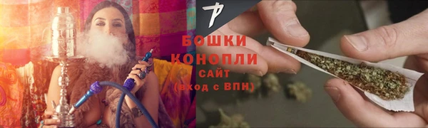 сатива Горняк