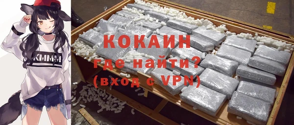 сатива Горняк