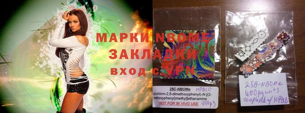 сатива Горняк