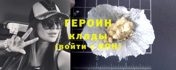 сатива Горняк