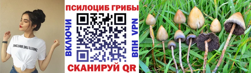 Псилоцибиновые грибы Magic Shrooms цена Якутск